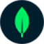 MongoDB：开发者数据平台